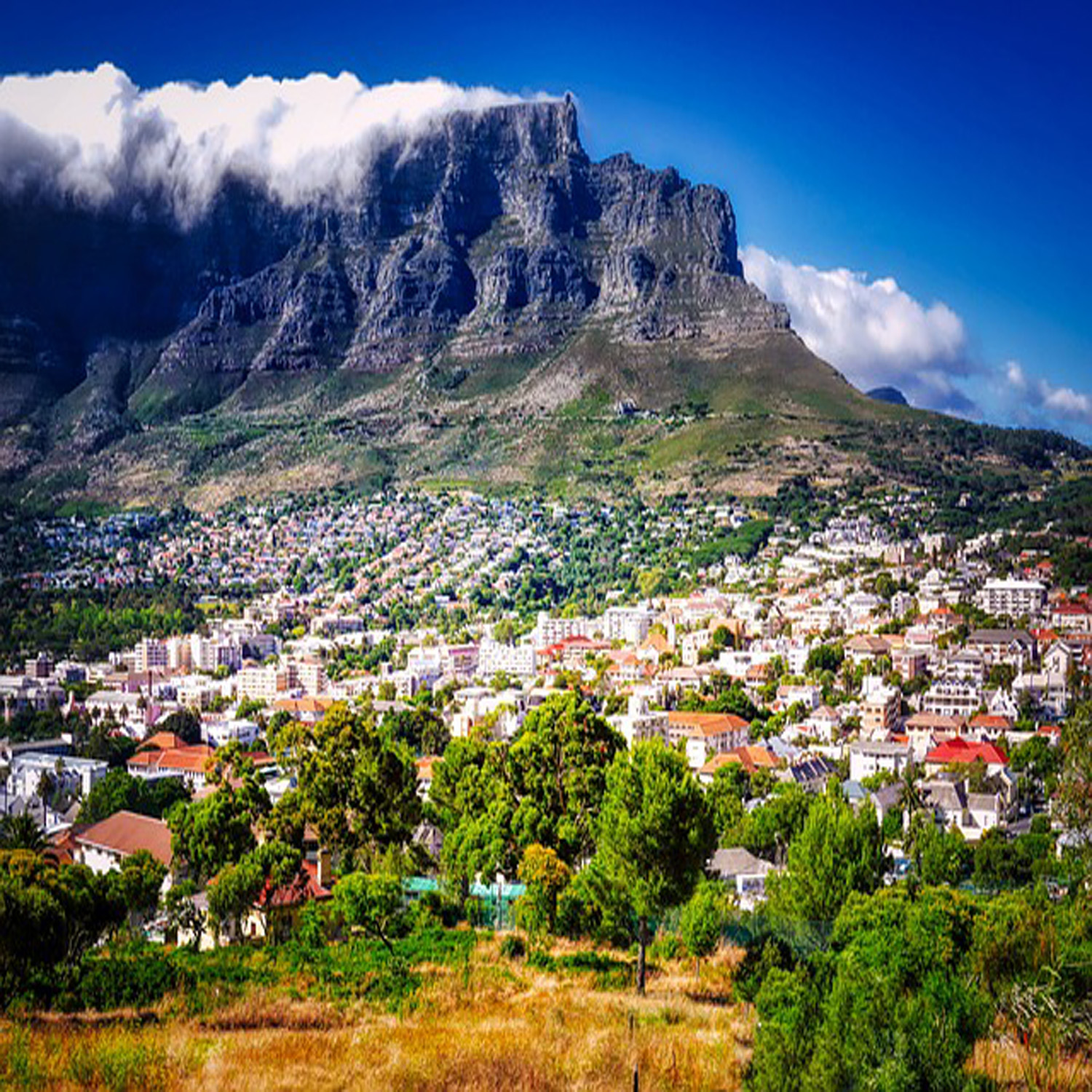 # Expat Tips: How to Successfully Settle and Thrive Abroad
 ?>
