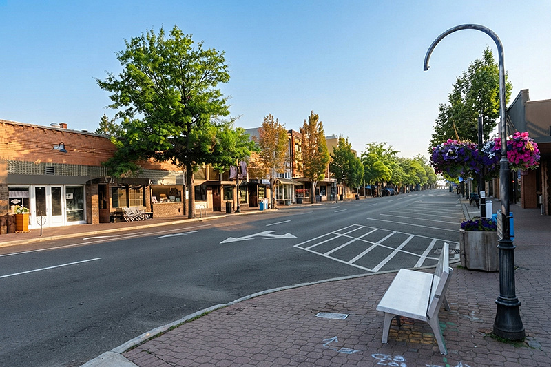 Portage Park