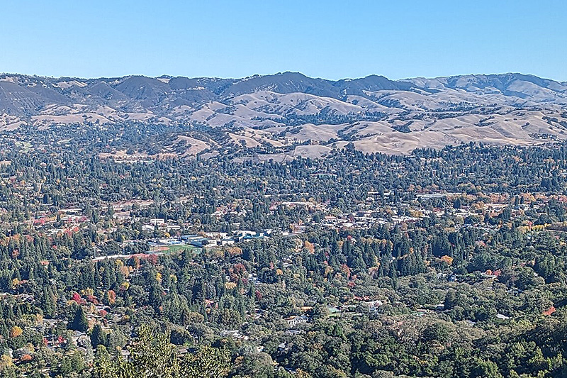Danville