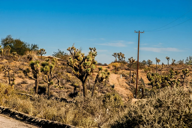 Yucca Valley